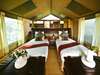Pom Pom Camp - bedroom